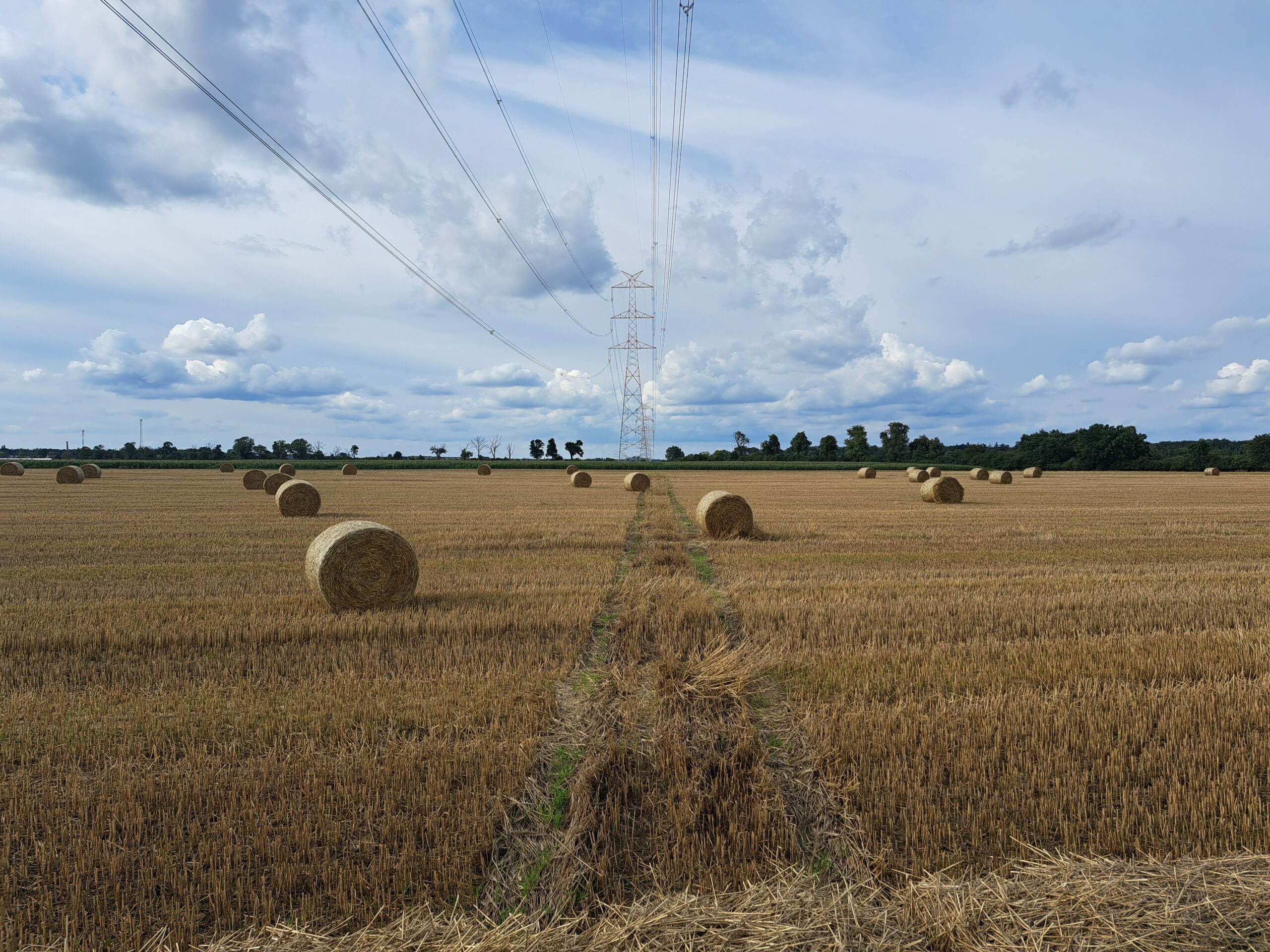 PSE uruchomiły drugi tor linii 400 kV Ostrów – Kromolice